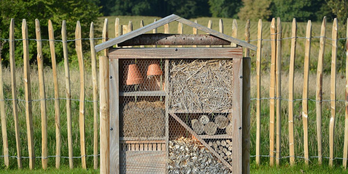 Dix astuces simples pour favoriser la biodiversité de votre jardin