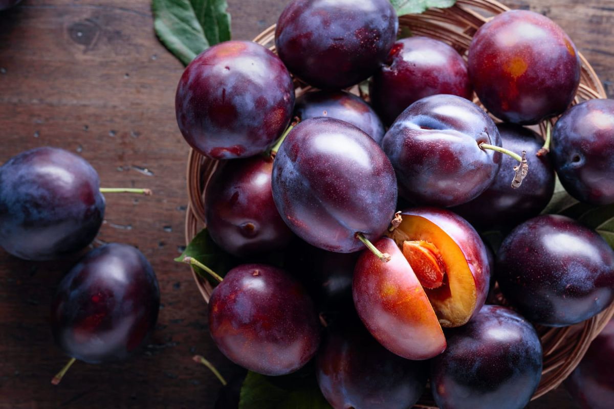 Comment congeler des prunes ?