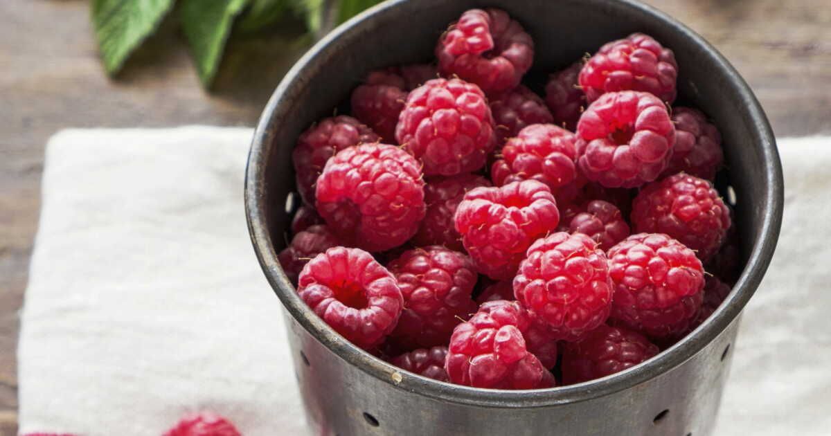Savourez les framboises : idées de recettes pour sublimer ce fruit d'été