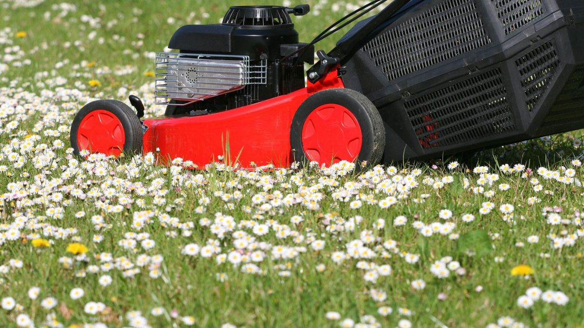 Vigilance face à l'escroquerie de jardinage : des milliers d'euros envolés