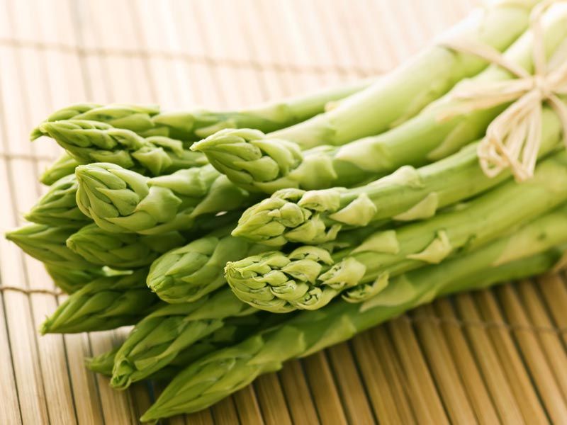 Asperges : le guide ultime pour choisir entre vertes et violettes