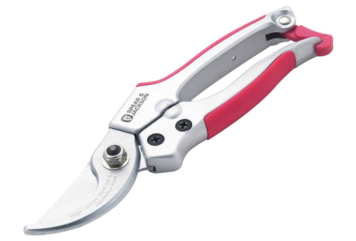 Domptez votre jardin cet automne avec ces cisailles à petit prix