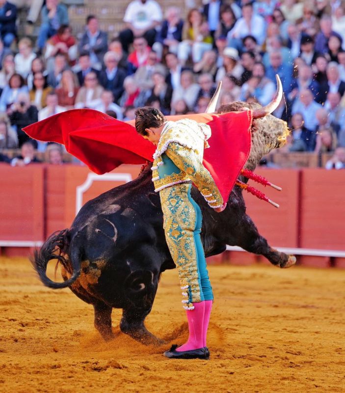 L’essor des spectacles taurins en Espagne : une tradition qui s’affirme
