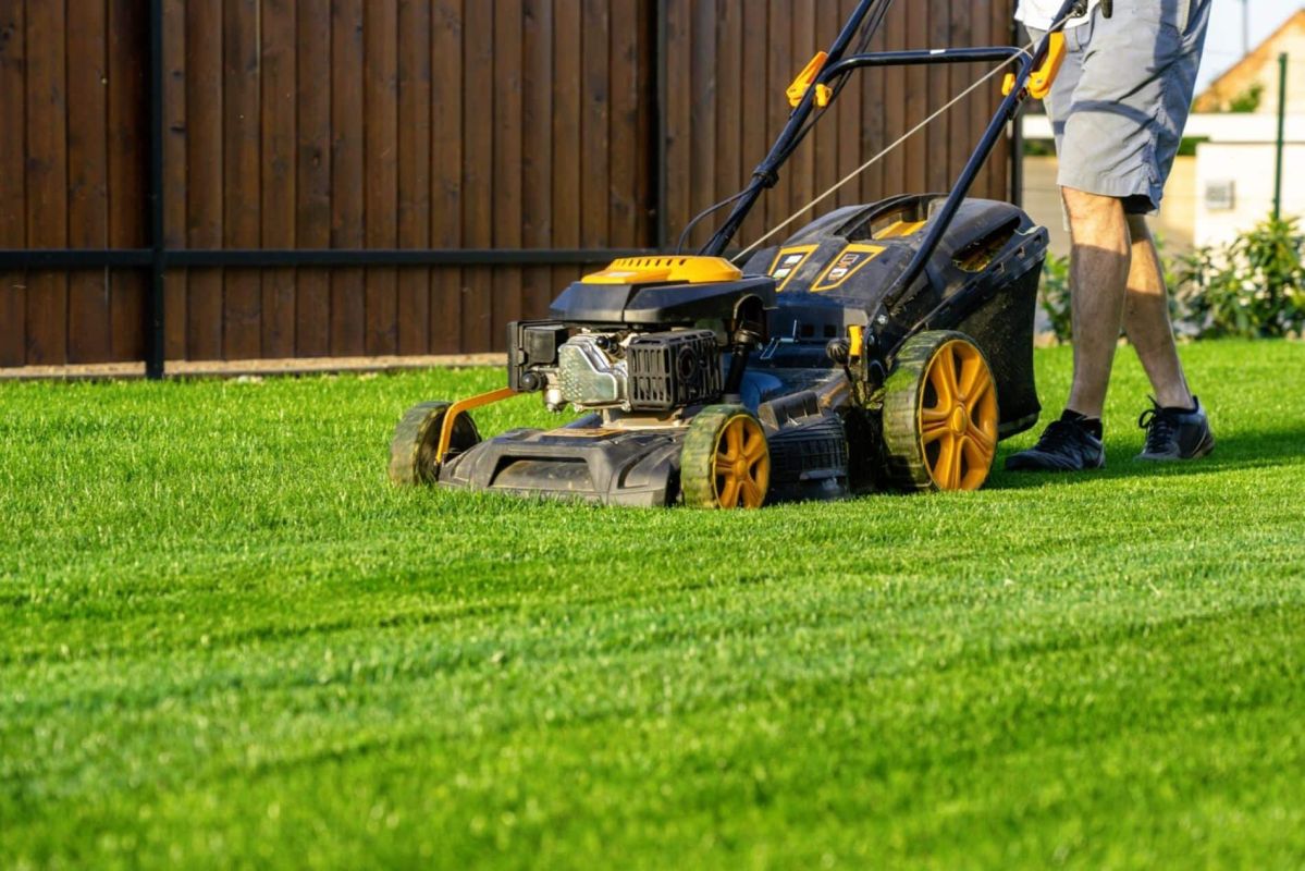 La première tonte de printemps : une étape cruciale pour une pelouse en pleine santé