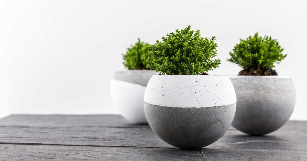 Des pots en béton qui réinventent votre intérieur