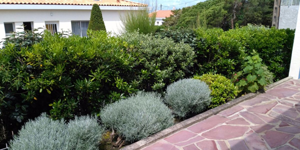 Jardins à sol sec : astuces pour un entretien efficace