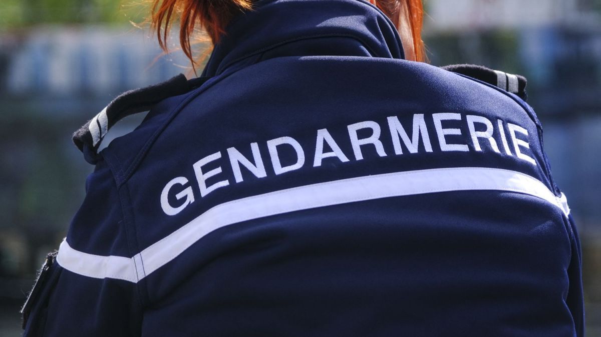 Incident dramatique lors d'un rodéo urbain dans le Calvados : une gendarme blessée
