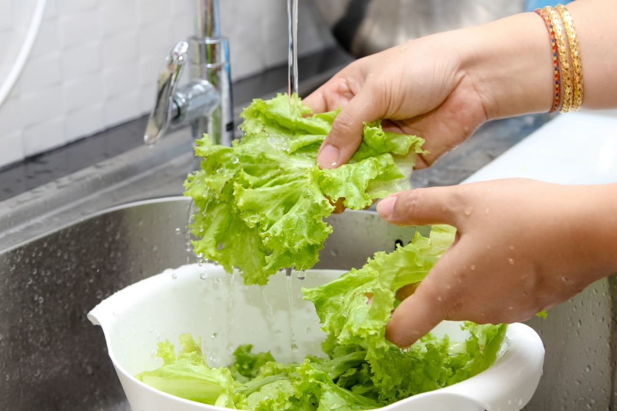 Ce faux pas qui ruine la fraîcheur de votre salade selon un maraîcher