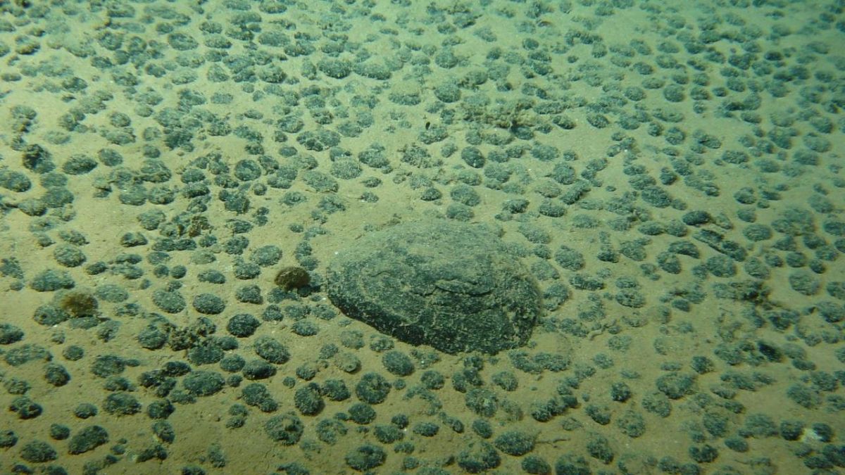 Extraction minière en haute mer : un débat brûlant pour l'environnement