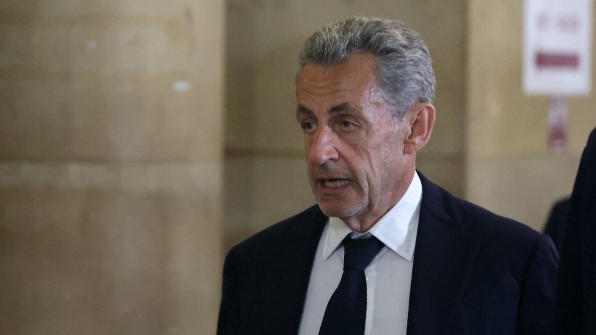 Nicolas Sarkozy face à la justice : l'appel qui pourrait tout changer