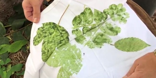 Le tataki zomé, un art végétal à explorer