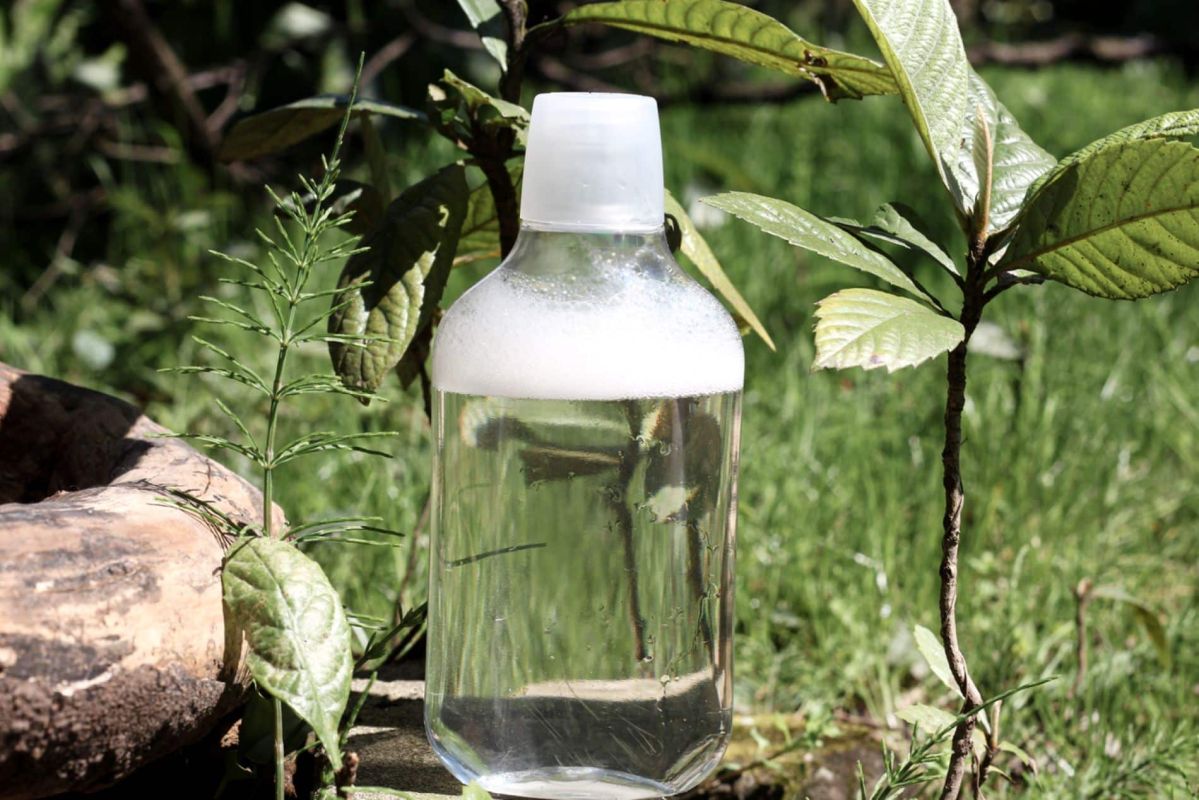 Manier le vinaigre comme désherbant : précautions indispensables à connaître