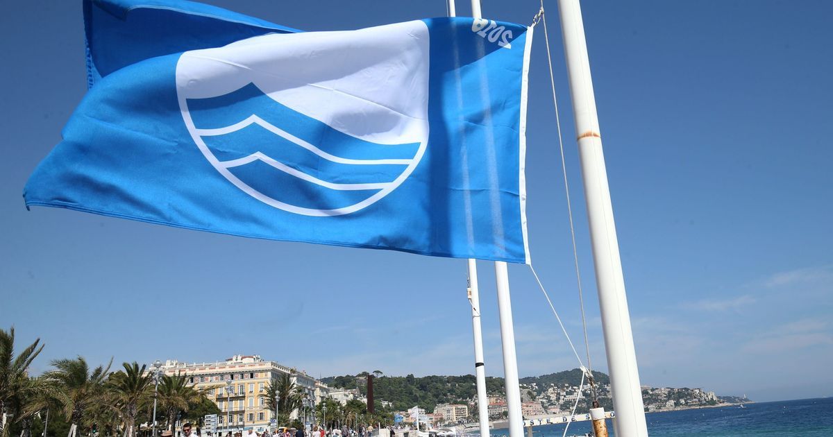 Le pavillon bleu récompense l'engagement écologique des plages et ports en Seine-Maritime