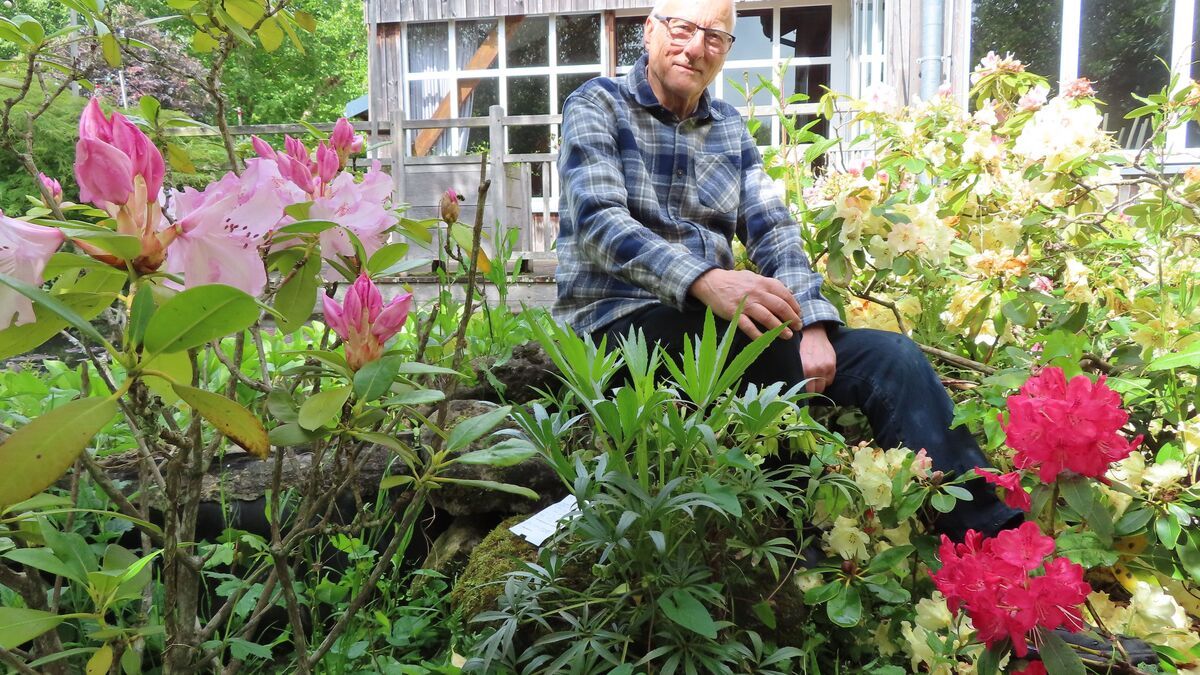 Un jardin de tulipes à Saint-Paul espère briller à la télé