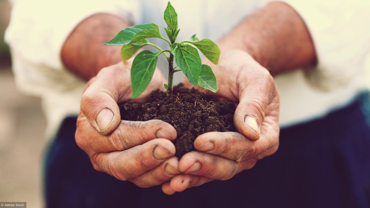 Serge Guérin dépeint un portrait nuancé de l'écologie intergénérationnelle