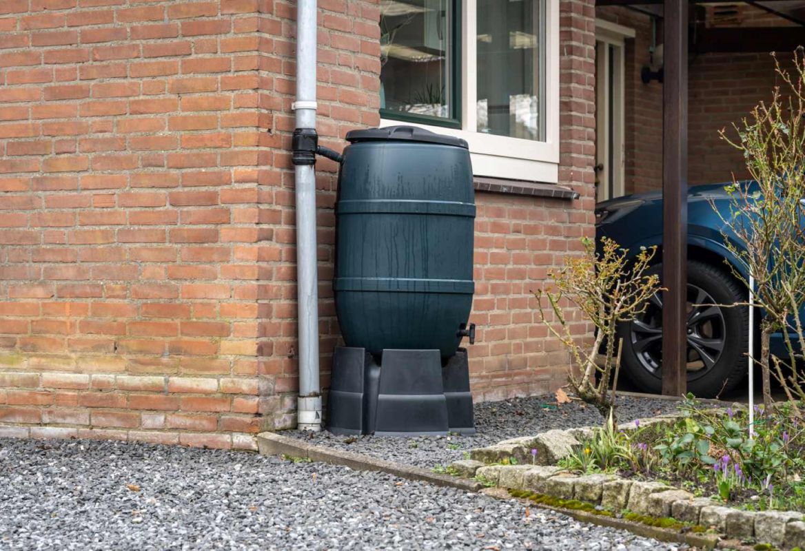 Obtenez un récupérateur d’eau de pluie gratuit : suivez le guide