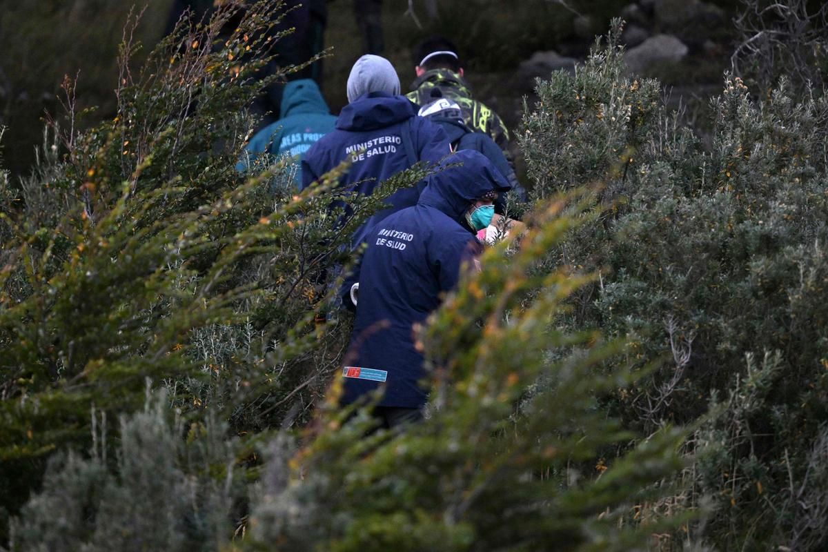 Un regard attentif sur le hantavirus : 150 rongeurs capturés à Ushuaïa pour des analyses cruciales