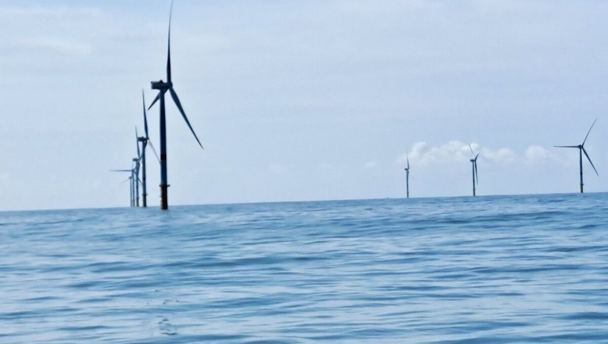De nouveaux horizons pour l'éolien en mer : déclaration d'un expert du secteur