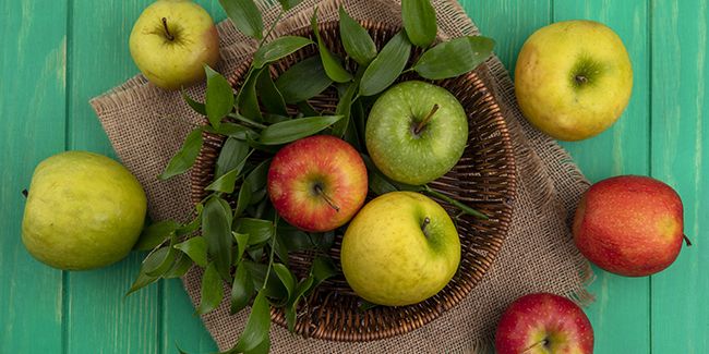 Les pommes : un trésor gustatif à découvrir cet automne