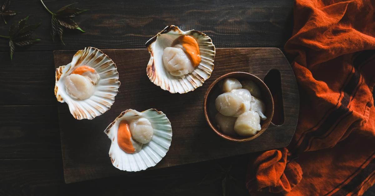 Savourez l'automne avec ces irrésistibles recettes de coquilles Saint-Jacques