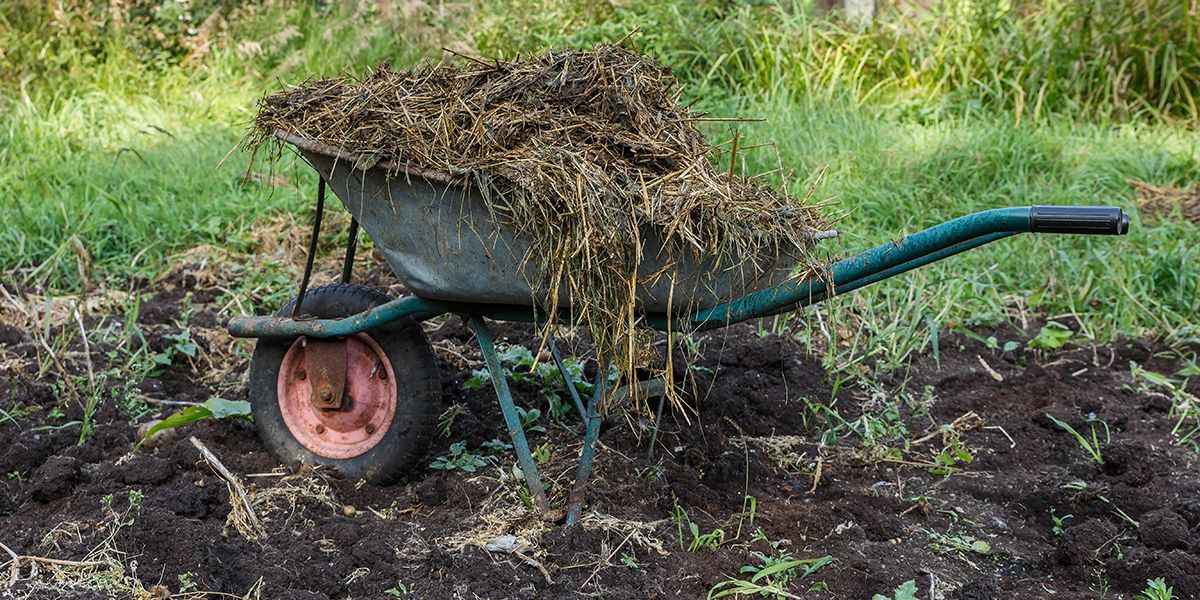 Les meilleures solutions pour enrichir votre jardin en compost et fumier
