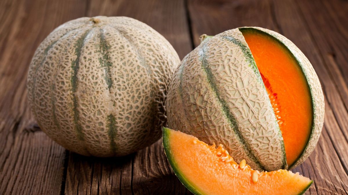 Le melon, ce fruit estival aux surprises insoupçonnées
