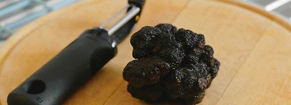 À la découverte des trésors de la truffe