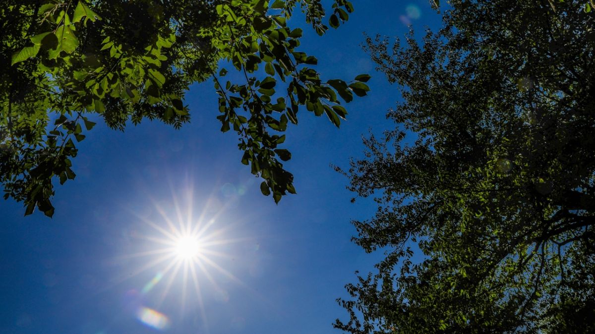 Canicule : vigilance orange dans les Deux-Sèvres et douze autres départements