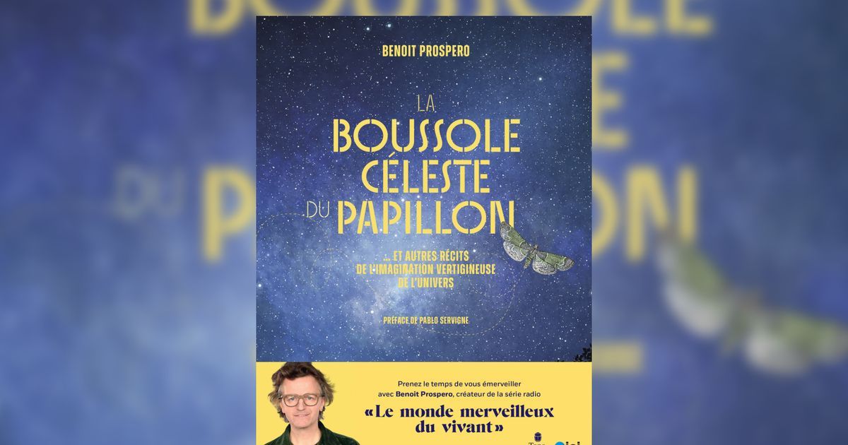 La boussole céleste du papillon : une invitation à explorer le vivant