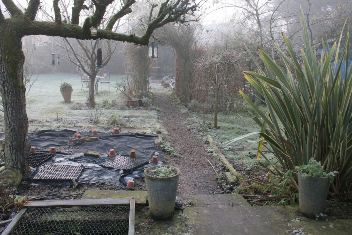 Gel et verglas : les erreurs à éviter dans votre jardin cet hiver