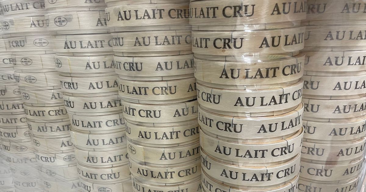Le camembert plébiscité comme le fromage emblématique de la France