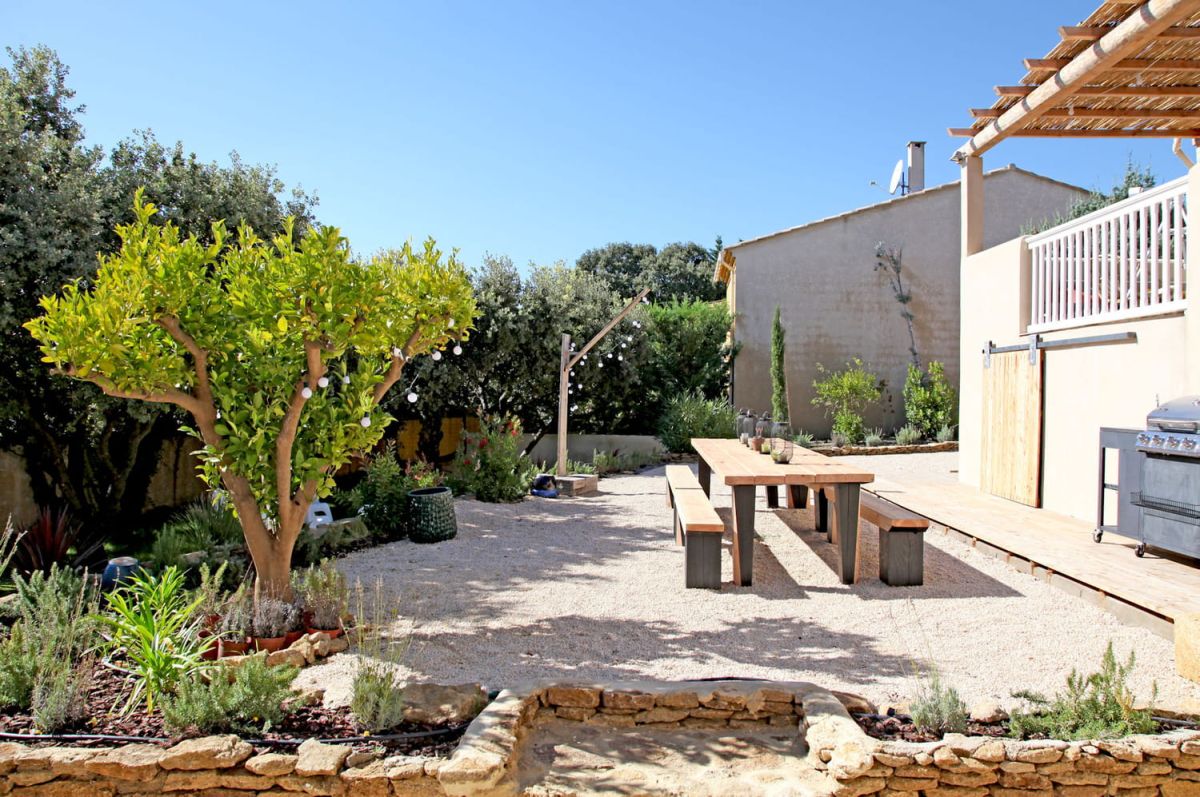 La plante incontournable pour sublimer vos murs en un temps record