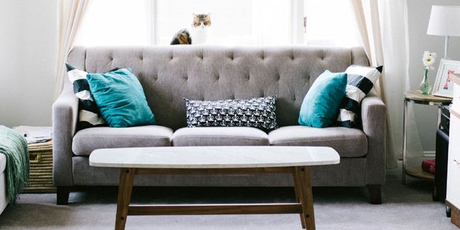 Cuir ou tissu : le guide ultime pour choisir votre canapé