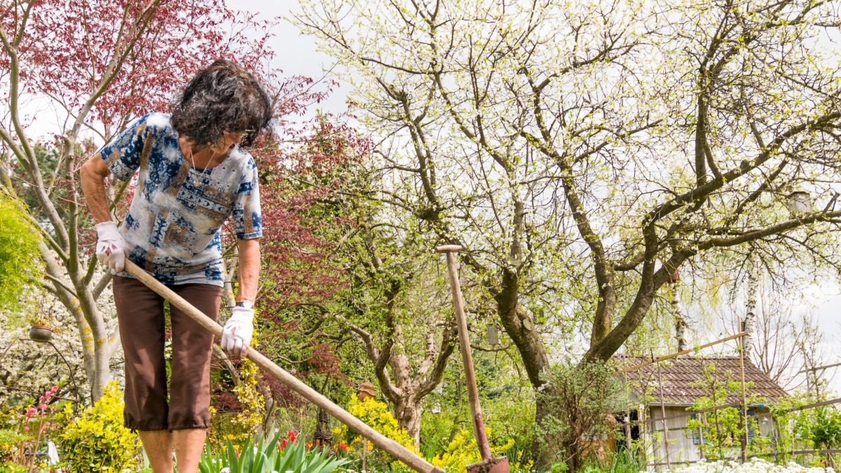 Préparer votre potager : 5 astuces incontournables pour une récolte réussie