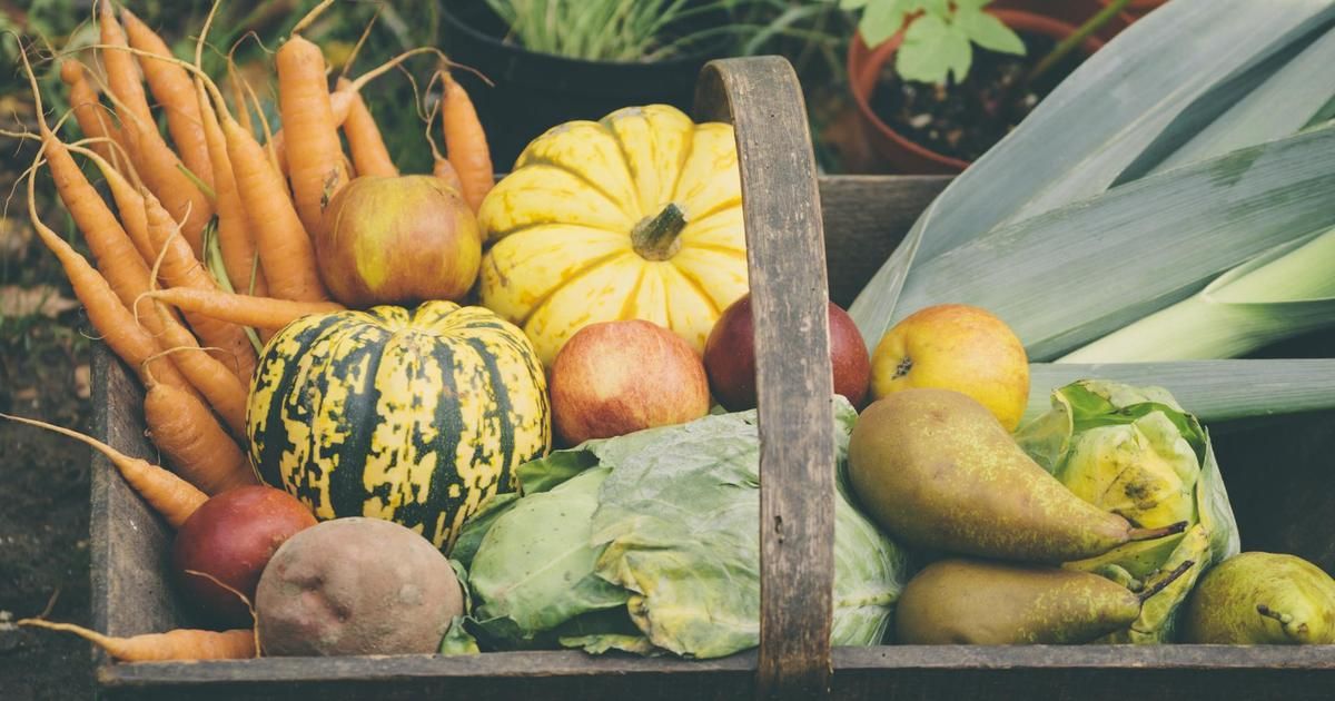 découvrez les délices de l'automne : fruits, légumes et fromages à savourer