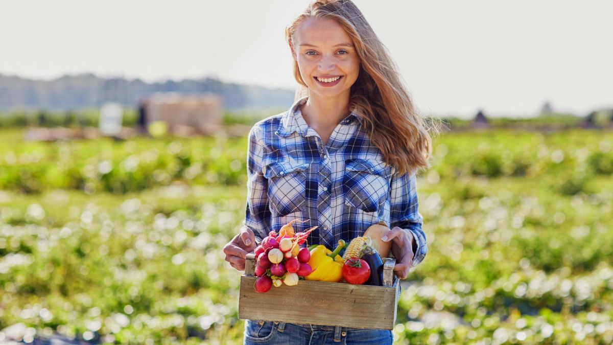 Le guide ultime pour cultiver votre potager cet été