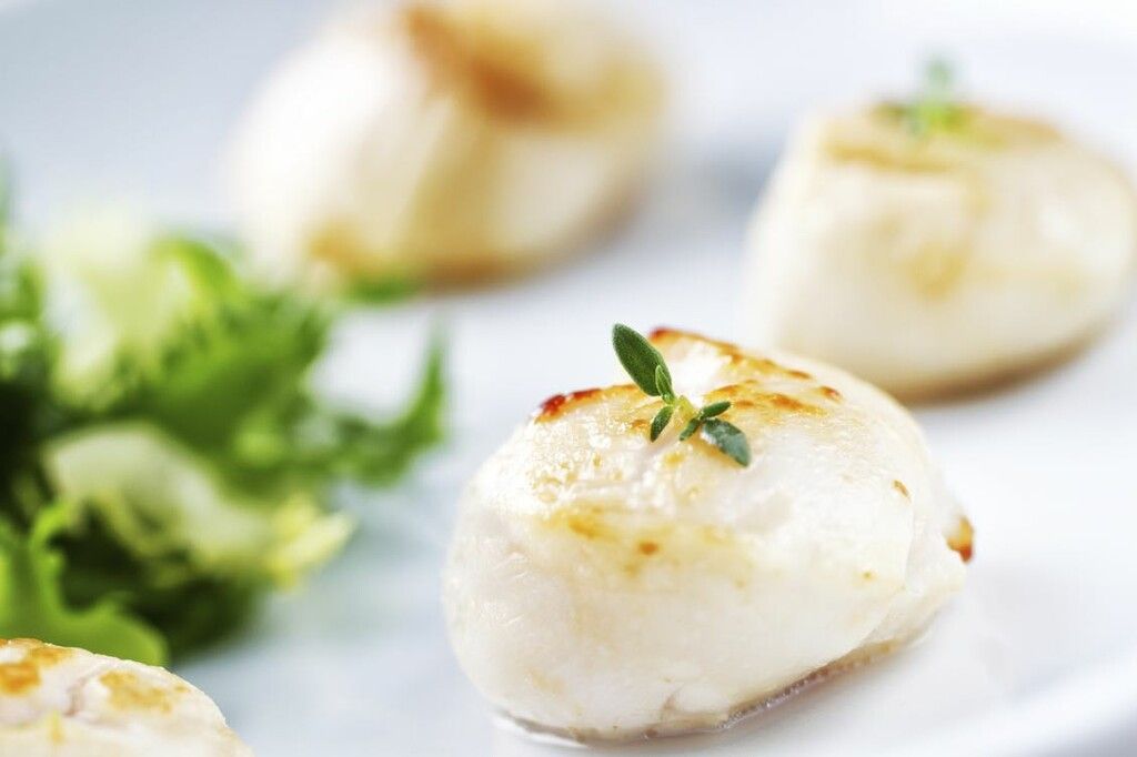 À la recherche des meilleures coquilles Saint-Jacques à Paris