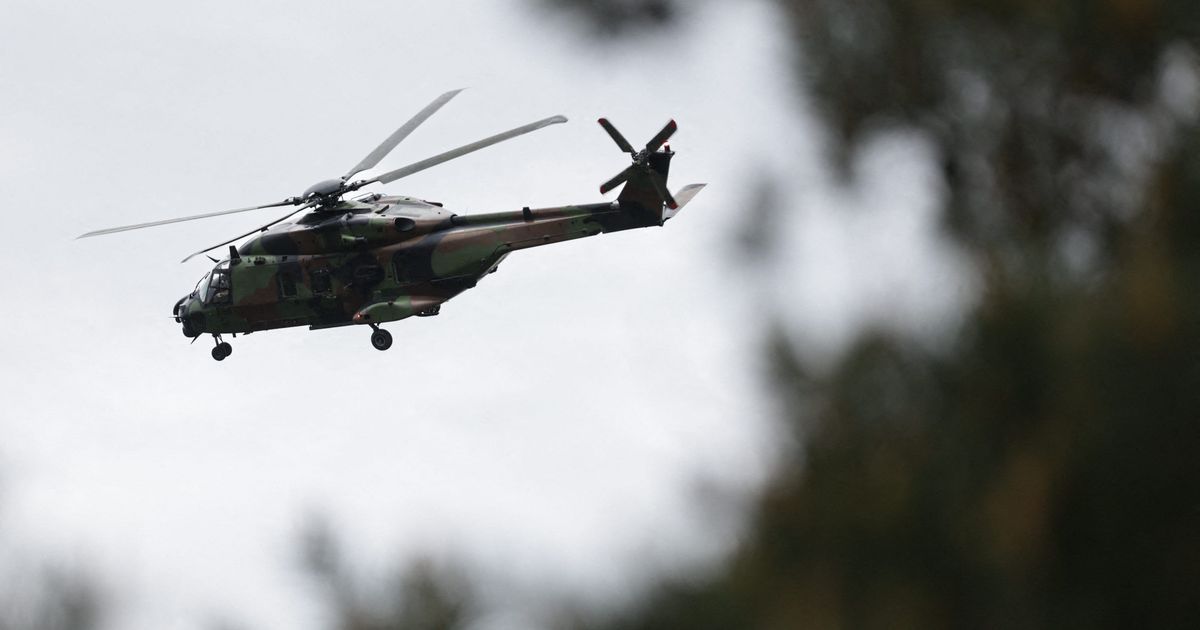 Des animaux en détresse en Mayenne après le passage d'hélicoptères militaires
