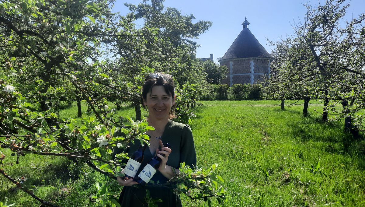 Une révolution dans le monde du cidre : le Manoir du Val lance son cidre sans alcool