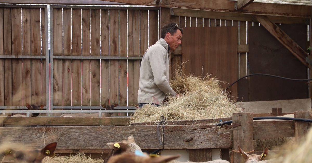L'espoir de François Cerbonney : un permis pour sauver la bergerie à Genêts