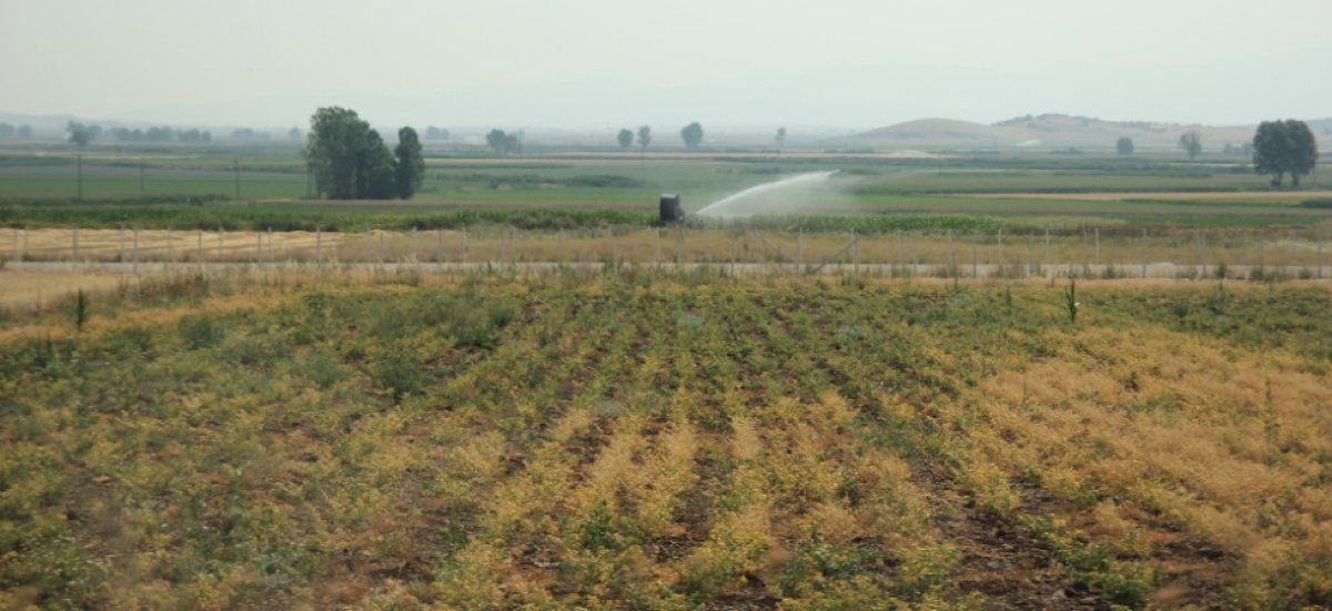 Restrictions d'eau : la France face à une canicule précoce et ses conséquences