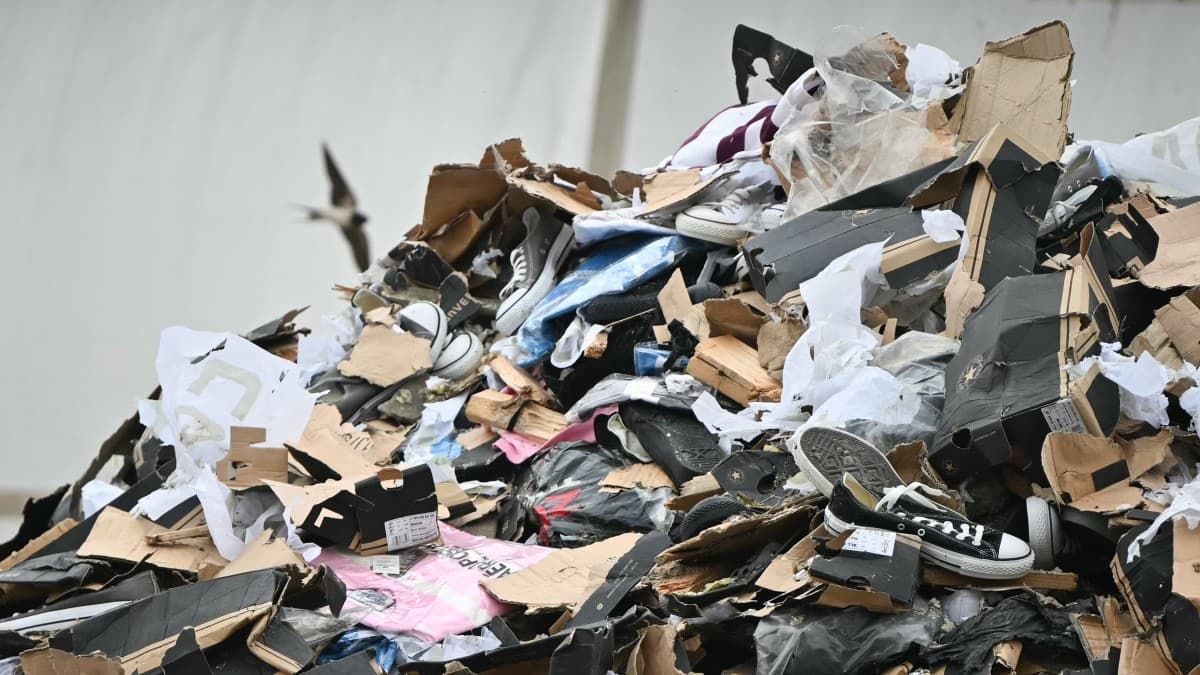 Une vaste opération au Havre : 38.000 baskets de contrefaçon déchiquetées