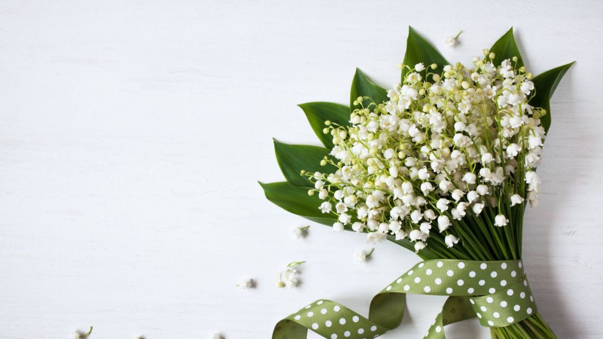 Quiz. Le muguet, que savez-vous de ce porte-bonheur?