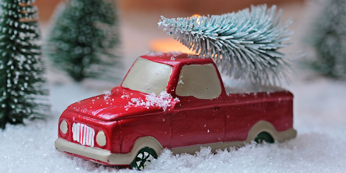 Les secrets d'un sapin de Noël réussi