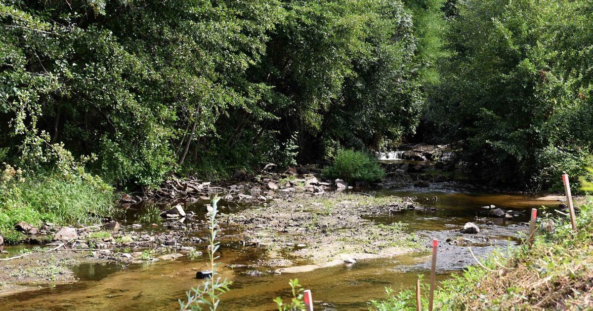 Vigilance sécheresse dans l'Orne : alertes sur la Touques et la Guiel