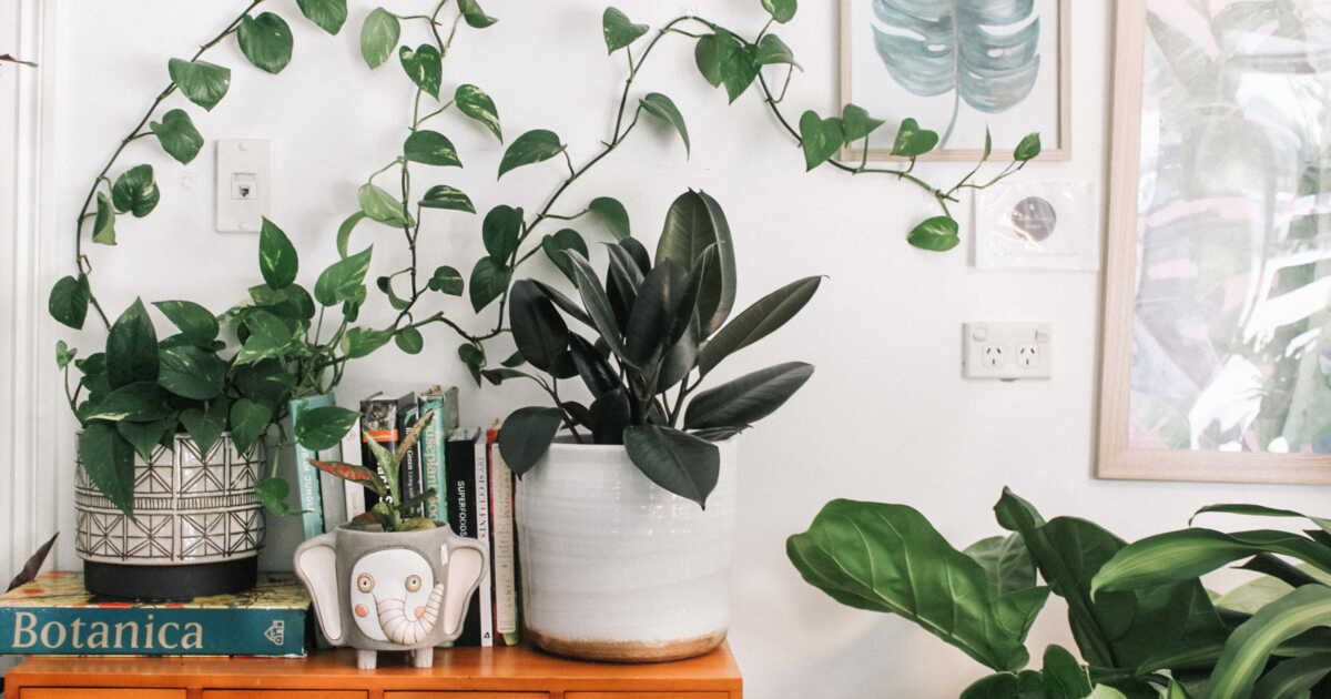 Transformez votre intérieur en jardin verdoyant avec ces astuces déco