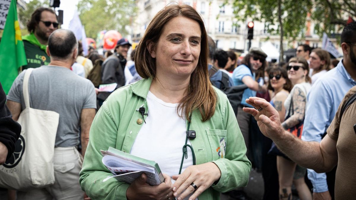 Les Ecologistes face à un dilemme : consulter pour une primaire de gauche