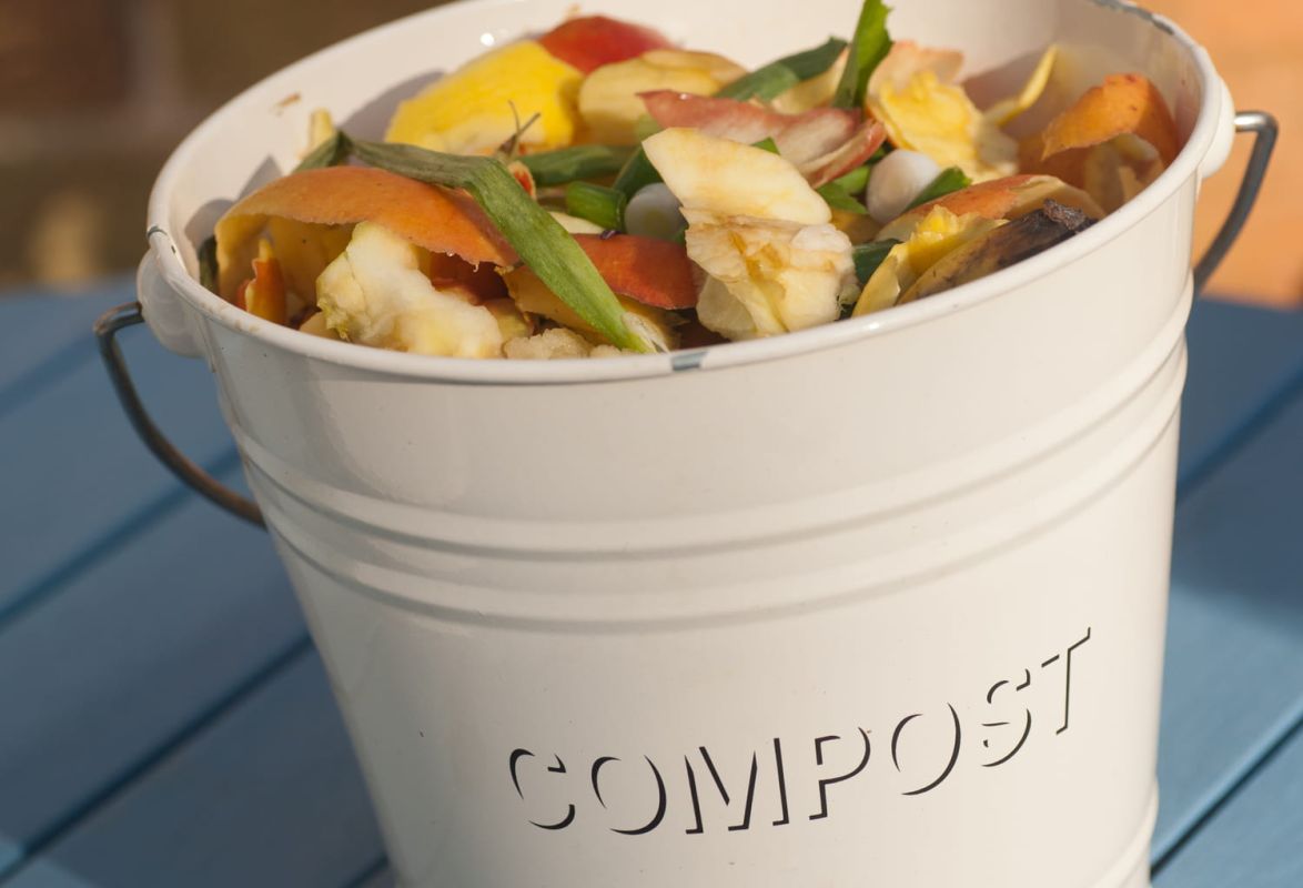 Le compostage devient une obligation : tout ce que vous devez savoir