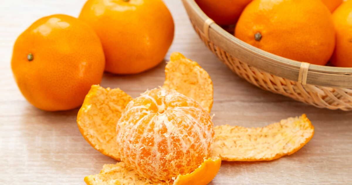 Clémentine : le guide pour dénicher le fruit parfait chaque hiver