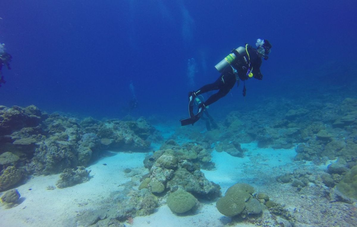 Une plongeuse secourue après huit heures de dérive en mer Méditerranée